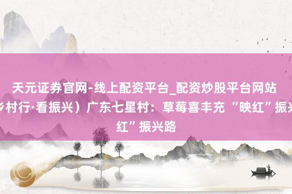 天元证券官网-线上配资平台_配资炒股平台网站 （乡村行·看振兴）广东七星村：草莓喜丰充 “映红”振兴路