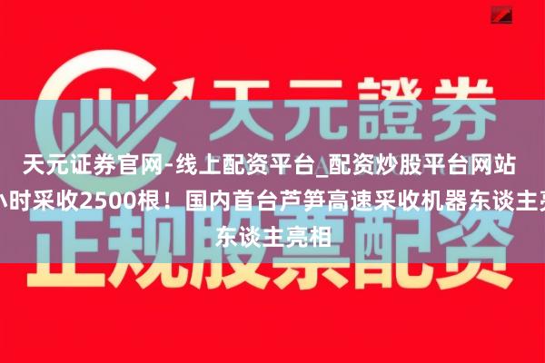 天元证券官网-线上配资平台_配资炒股平台网站 每小时采收2500根！国内首台芦笋高速采收机器东谈主亮相