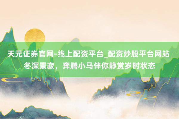 天元证券官网-线上配资平台_配资炒股平台网站 冬深景寂，奔腾小马伴你静赏岁时状态