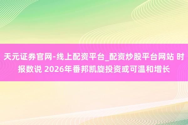 天元证券官网-线上配资平台_配资炒股平台网站 时报数说 2026年番邦凯旋投资或可温和增长